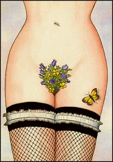Butterfly Attraction.  Erotica Art Postcard.