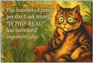 The Number of Times per day I ask myself 